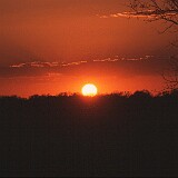 Sonnenuntergang im Krügerpark  Sonnenuntergang im Krügerpark