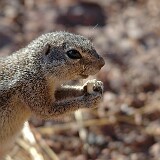 050814-171642  Namibia