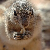 050814-171756  Namibia