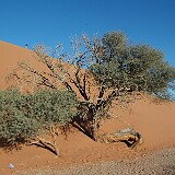 050816-084704  Namibia