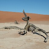 050816-101126  Deadvlei Namibia