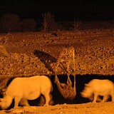 Südafrika / Namibia