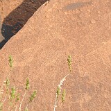 AFR 0835  Höhlenzeichnungen, Namibia : Namibia, Kalkbron