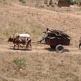 AFR 3083 : Malawi, Chandiwira Moyo