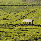 AFR 3271 : Tansania, Kasyeto