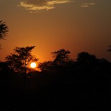 AFR 3979 : Tansania, Nyabogati