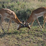 AFR 4009 : Tansania, Banagi