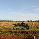 AFR 5401 : Kenia, Turbo