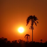 P1010231 : Botsuana, Mashendus