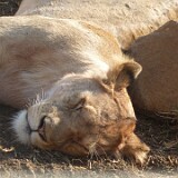 P1020549 : Tansania, Munge