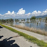 25-05-10 15-57-36 0558