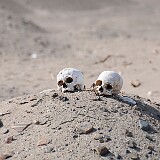 Friedhof in der Wüste  Friedhof in der Wüste