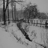 DSC 0003  Am Tülersee