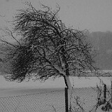DSC 0004  Am Tülersee
