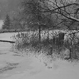 DSC 0007  Am Tülersee