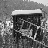 DSC 0008  Am Tülersee