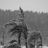 DSC 0009  Am Tülersee