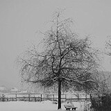 DSC 0014  Am Tülersee