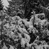 DSC 0015  uf äm Albis