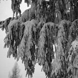 DSC 0018  uf äm Albis