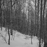 DSC 0024  uf äm Albis