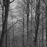 DSC 0025  uf äm Albis