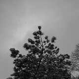 DSC 0032  uf äm Albis