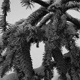 DSC 0034  uf äm Albis