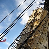 IMG 0201  MS Bark Europa